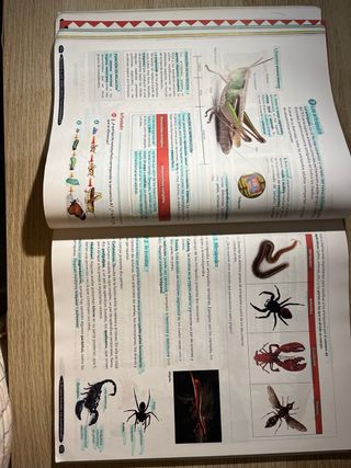 Biología y Geología 1º ESO. Libro del estudiant...