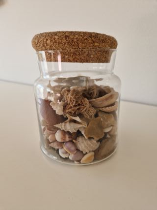 Vaso decorativo con ricordi di mare