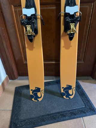 Esquís DPS Wailer 112 Freeride 176cm