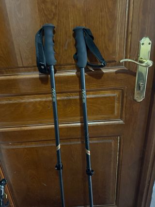 Esquís DPS Wailer 112 Freeride 176cm