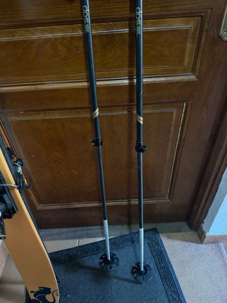 Esquís DPS Wailer 112 Freeride 176cm