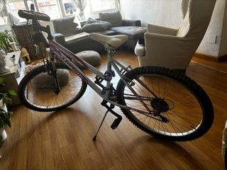 Bicicleta Jumpertrek Morada