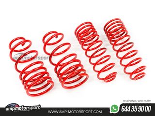 MUELLES DEPORTIVOS MTS TECHNIK MTSXBM257