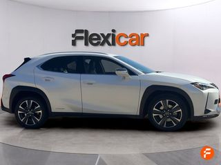 Lexus UX 2.0 250h Business