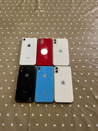 Lote 6 iPhone: XR/11 (Nero, Blu, Rosso, Bianco)