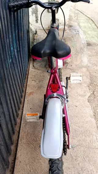 Bicicleta Infantil Fantasy de 16 pulgadas