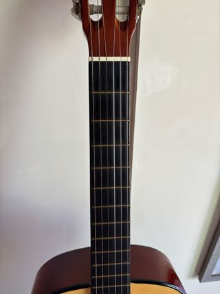 Guitarra Española Luis Gazquez + Funda