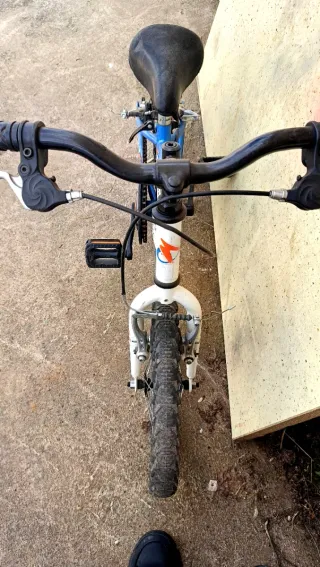 Bicicletas infantiles de 16 pulgadas