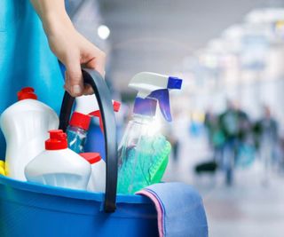 Limpiadora a domicilio axarquia