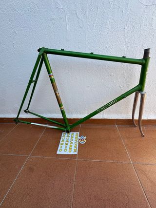 Cuadro Macario Profesional Talla 60