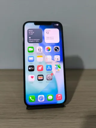 iPhone 12 Pro Max 256GB