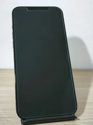 iPhone 12 Pro Max 256GB