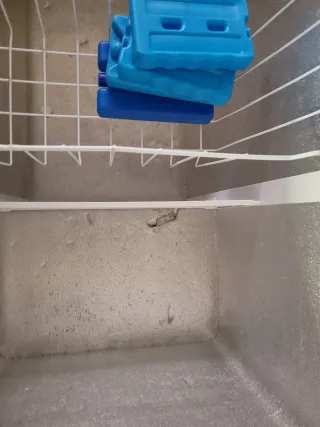 Congelador Horizontal Blanco marca Indesit.