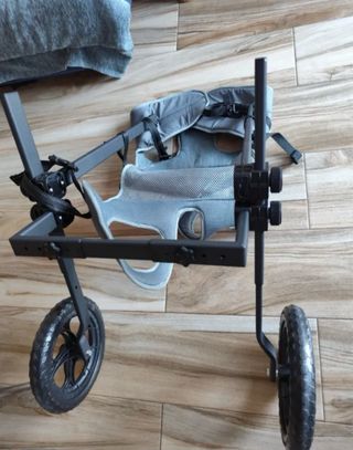 Sedia a rotelle per cani XXL