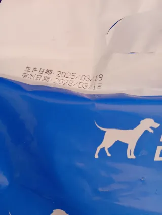 Pannolini per cani taglia XL - Set