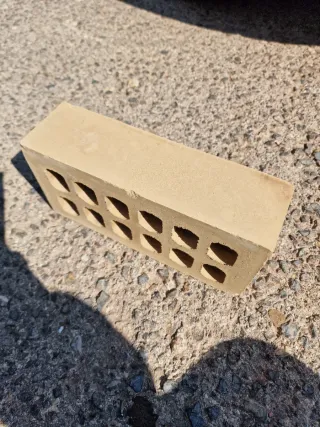 Ladrillo caravista 5x24x12.5 (500 u.)