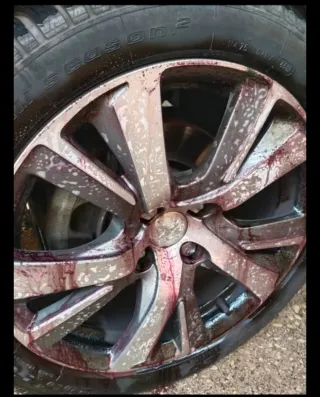 LIMPIEZA COCHES PREMIUM Y DETALLADOS