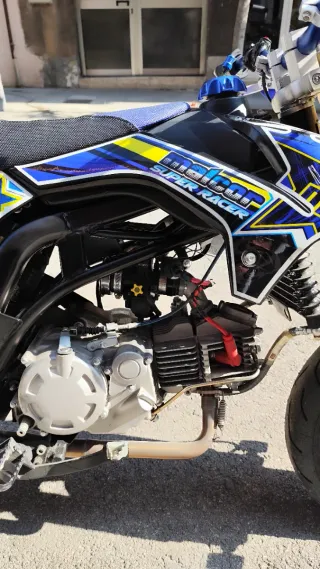 Pitbike Malcor Super Racer 160 Preparada