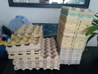 Hueveras de cartón varios tamaños