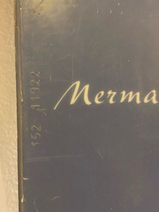 Tabla Snowboard 152 cm con fijaciones