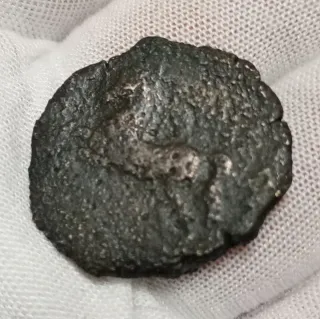 Moneda Fenicia Reino de Numidia