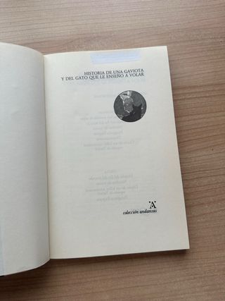 Historia de una gaviota y del gato que le ensen...