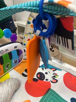 Baby Einstein, Gimansio de Actividades Musical...