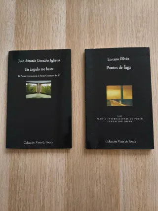 Libros de poesía Editorial Visor a 5€ la unidad