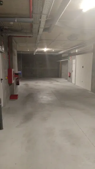 Economista Colegiado Asesoría de empresas.