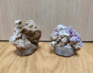 Frag Rock Coralero Magnético Acuario Marino