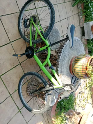 Bicicleta Montaña 24 Verde