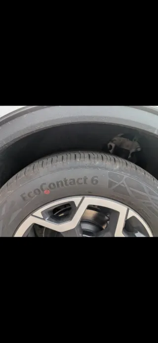 Neumáticos Continental Coche