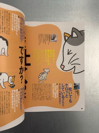 Cat’s Heart Magazine