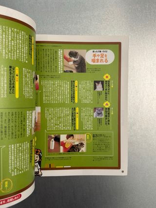 Cat’s Heart Magazine