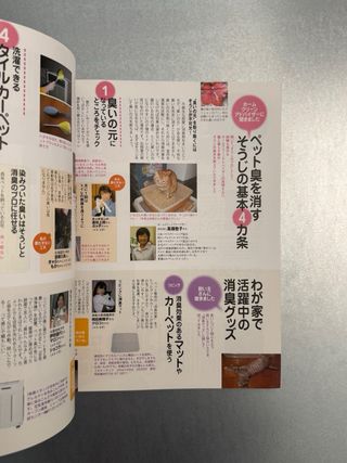Cat’s Heart Magazine