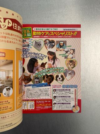 Cat’s Heart Magazine