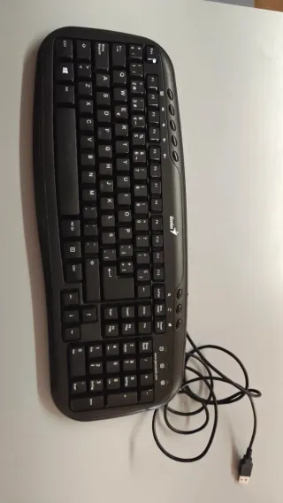 Teclado Genius Negro USB