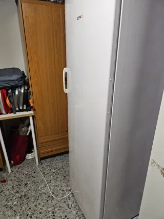 Congelador vertical LYNX