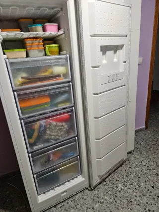 Congelador vertical LYNX