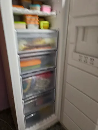 Congelador vertical LYNX