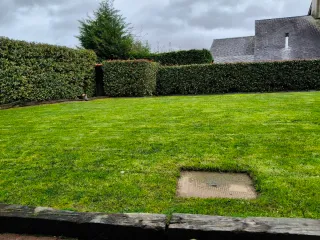 Podas , diseños ,estanques ,riegos automatizados