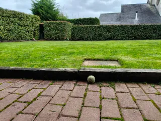 Podas , diseños ,estanques ,riegos automatizados