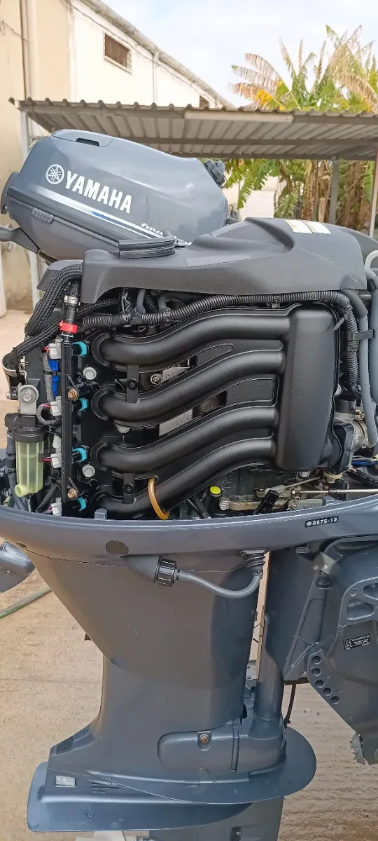 Embarcación 460 + Motor Yamaha F50