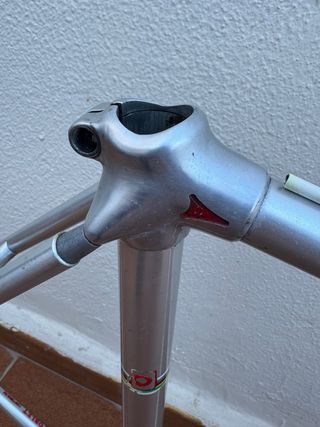 Quadro Alan Taglia 53