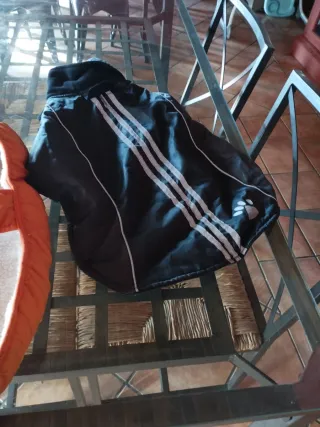 Transportín para mascotas con accesorios