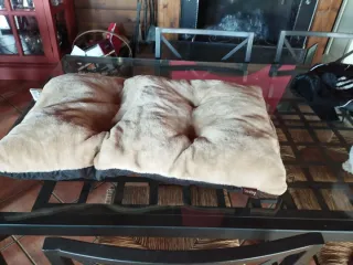 Transportín para mascotas con accesorios