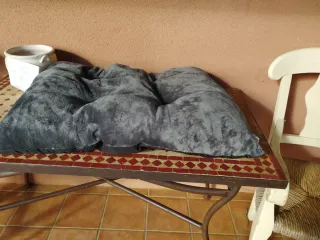 Transportín para mascotas con accesorios