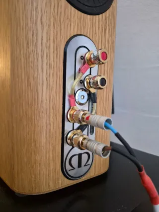 Altavoces Monitor Audio Gold G50