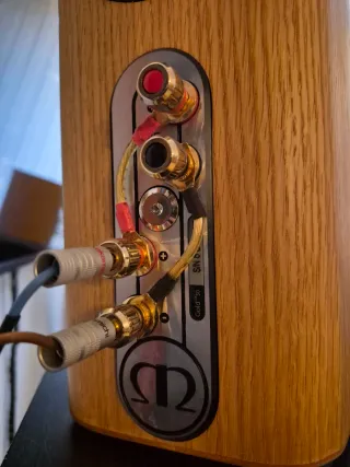 Altavoces Monitor Audio Gold G50