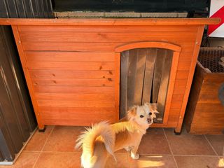 Casa para mascotas exterior madera gigante